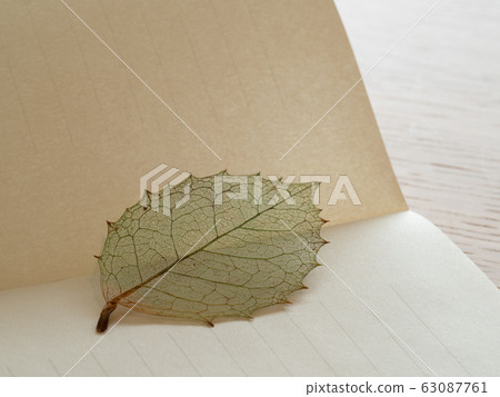 Notebook and pressed leaf bookmark Notebook and pressed leaf bookmark 63087761