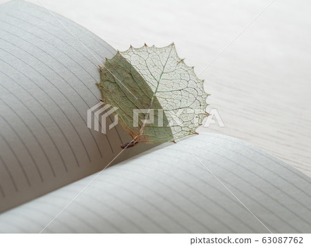 Notebook and pressed leaf bookmark 63087762