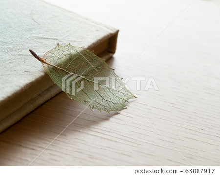 Old books and pressed leaf bookmarks 63087917