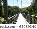 惡魔的舌頭包裹著橋 63089340