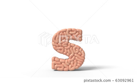 human brain in shape of letter s. 3D illustration 63092961