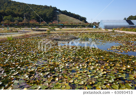 京畿道始興市蓮花主題公園關廣寺 63093453