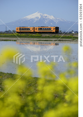 Spring of Tsugaru Tsugaru Railway and Iwakiyama Spring of Tsugaru Tsugaru Railway and Iwakiyama 63093964