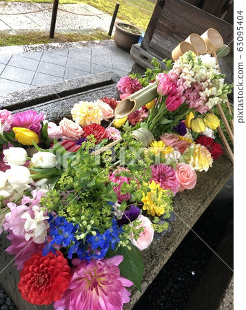 Flower hand water of Katsurinji 63095404