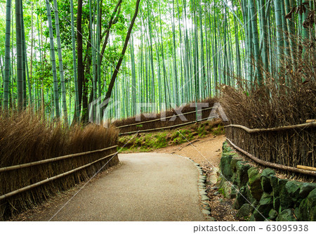 春天京都Kyoto峨野竹林路 63095938