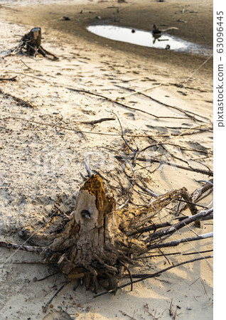 West sea West sea 63096445