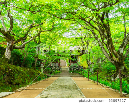 京都的Tokiwako-ji寺在春天 63097227