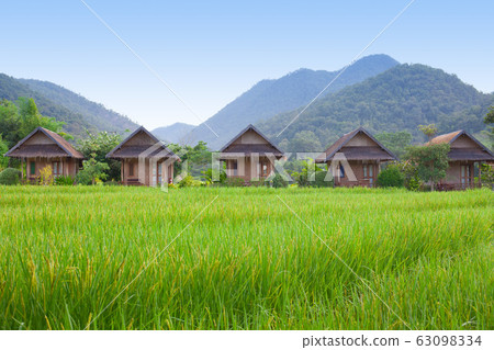 Village with green field 63098334