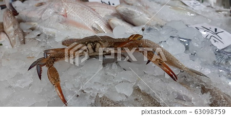 Fresh cold-and-fresh seafood at the fish market Fresh cold-and-fresh seafood at the fish market 63098759