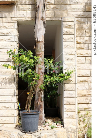 window, wall, old 63099145