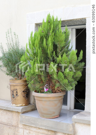 window, wall, old 63099146