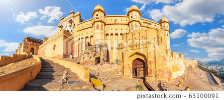 Amber Fort, beautiful panorama with a cute monkey, 63100091