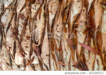 Texture embossed rough peeling natural  63100513