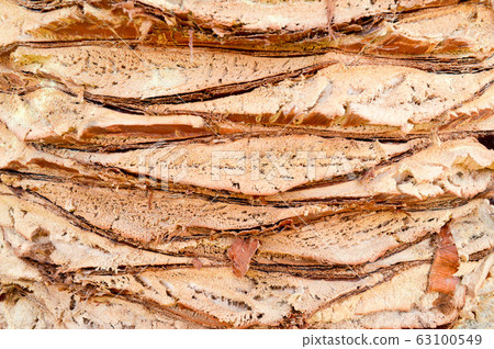 Texture embossed rough peeling natural Texture embossed rough peeling natural 63100549