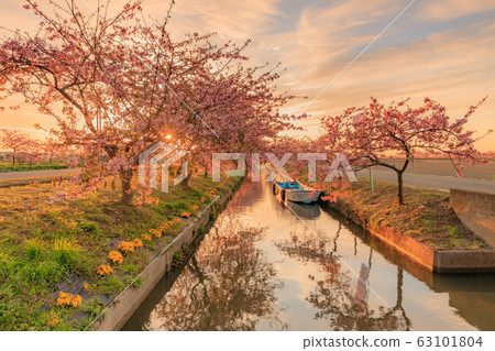 s松川津櫻路日出 63101804