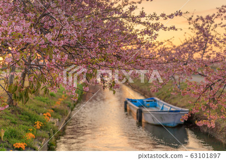 s松川津櫻路晨曦 63101897
