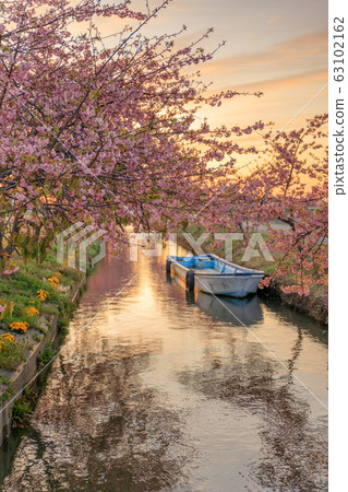 s松川津櫻路晨曦 63102162