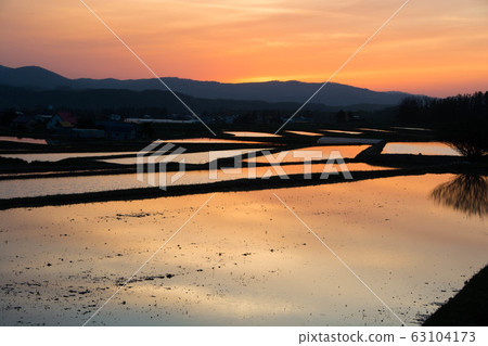 水稻種植前在稻田中反映出的日落 63104173
