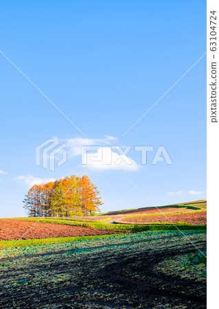 Evening view of Tsumagoi village 63104724