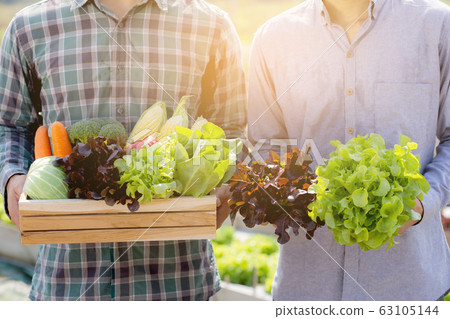 Beautiful portrait young two man harvest and picking up fresh organic vegetable garden in basket Beautiful portrait young two man harvest and picking up fresh organic vegetable garden in basket 63105144