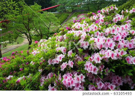 Takaoka Water Supply Azalea Park Takaoka Water Supply Azalea Park 63105493