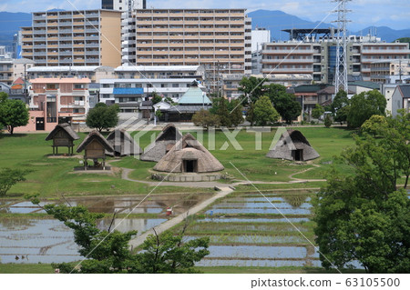 Toro Ruins 2 63105500