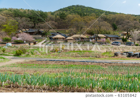 慶北古建築聯合國教科文組織世界遺產，陽東民俗村 63105842