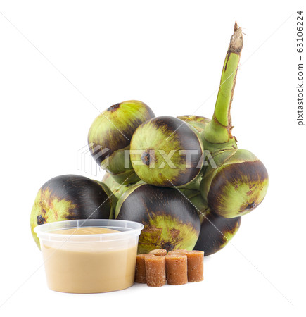 Asian Palmyra palm, Toddy palm, Sugar palm and 63106224