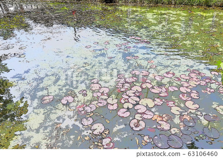 莫奈的池塘 63106460