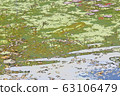 莫奈的池塘 63106479