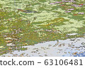 莫奈的池塘 63106481