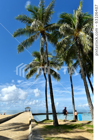 夏威夷的假期 夏威夷的假期 63106487