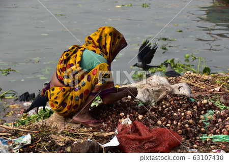 Dhaka, Bangladesh An old woman sorting vegetables along the Brigonga River and a crowd of crows gathering 63107430