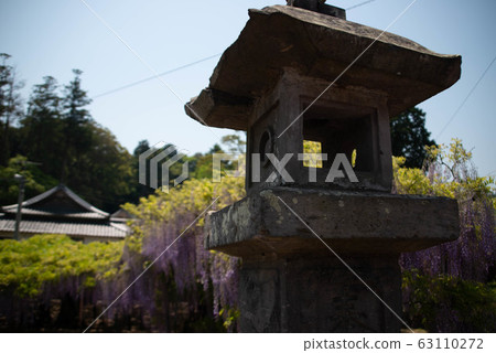 大分市Nishikanta神社 63110272