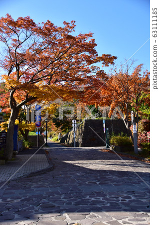 Autumn slope of Hakodate Autumn slope of Hakodate 63111185