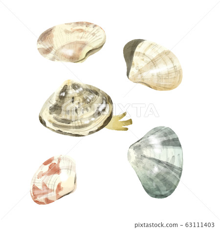 Asari watercolor Asari watercolor 63111403