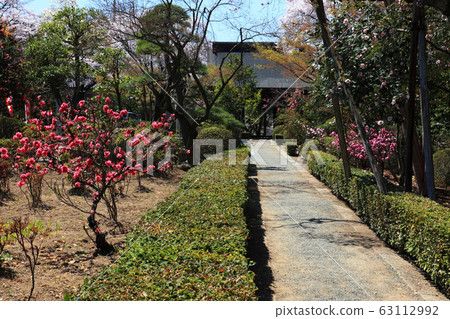 Temple of Flowers Shioyama Hokkoji 63112992