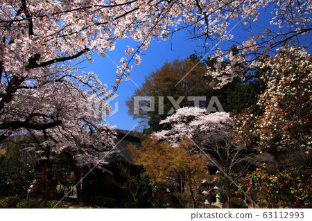 Temple of Flowers Shioyama Hokkoji Temple of Flowers Shioyama Hokkoji 63112993