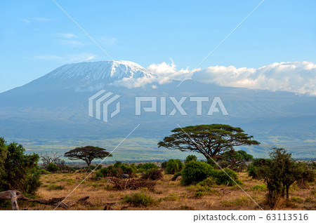 Snow on top of Mount Kilimanjaro in Amboseli Snow on top of Mount Kilimanjaro in Amboseli 63113516