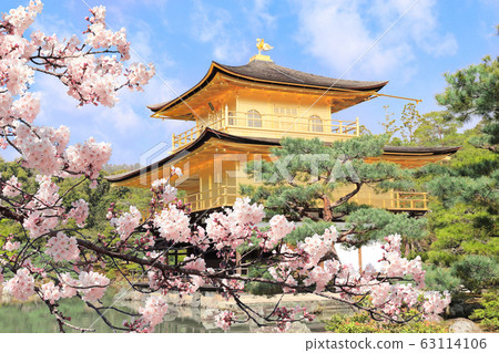 Golden Pavilion and blooming sakura, Kyoto, Japan Golden Pavilion and blooming sakura, Kyoto, Japan 63114106