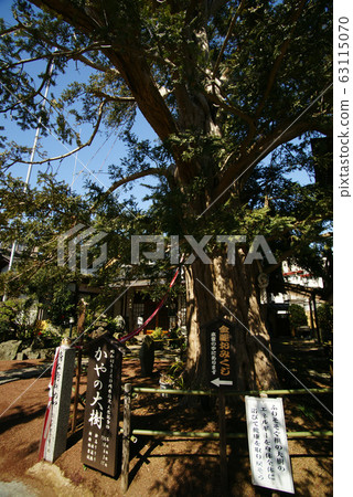 Jeiko-ji Temple Jeiko-ji Temple 63115070