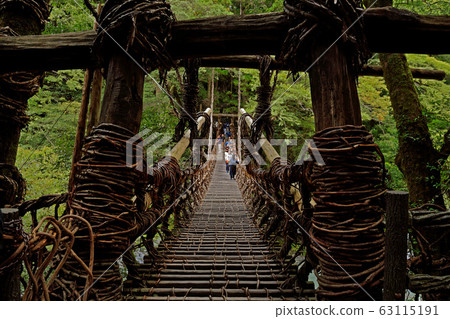 Kazura Bridge in Iya Kazura Bridge in Iya 63115191