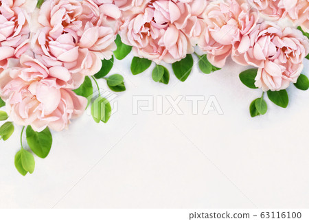 Delicate blossoming roses and blooming flowers festive background, pastel and soft bouquet floral frame card, toned Delicate blossoming roses and blooming flowers festive background, pastel and soft bouquet floral frame card, toned 63116100