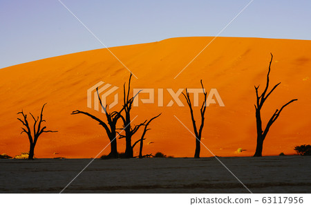 Namib Desert 63117956