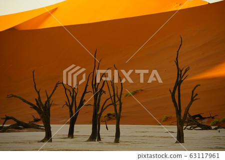納米布沙漠 63117961