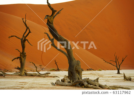納米布沙漠 63117962