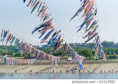 [Swimming carp streamer Sagami River] 63117987