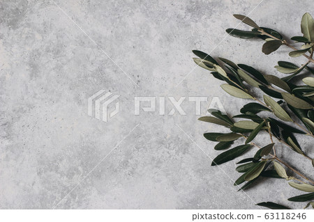 Floral composition of green olive tree leaves and branches isolated on grunge gray table background. Botany styled stock flat lay image, top view. Copy space, no people. Summer natural frame. 63118246