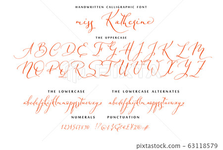 Hand drawn callygraphic font vector alphabet set 63118579
