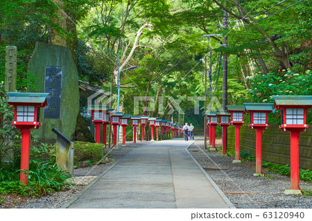 A monument and a lantern forbidden to kill in the back of Takaoyama Joshinmon in early summer in Hachioji, Tokyo 63120940